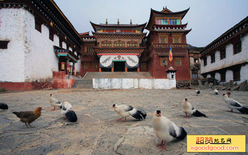 直共寺