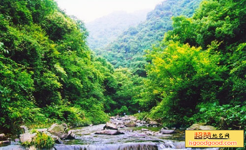 朱家山原始森林