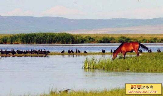 万马河生态保护区