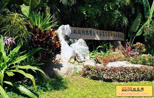 西双版纳雨林谷