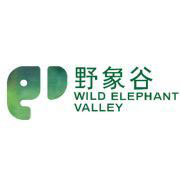 西双版纳野象谷