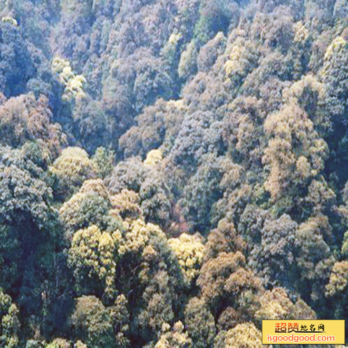 西隆山自然保护区