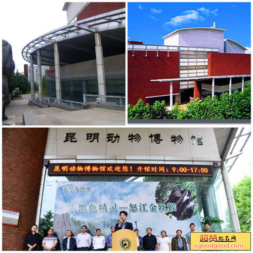 昆明动物博物馆