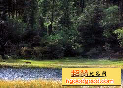 墨脱自然保护区