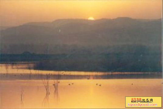 合阳黄河湿地自然保护区