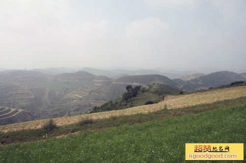 秦直道遗址庆阳段