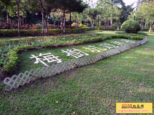 梅树坑公园