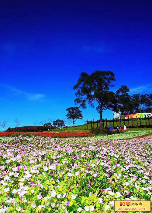 大溪花海农场