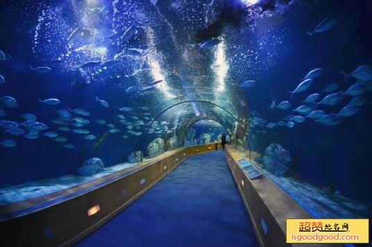 山海关海洋水族馆