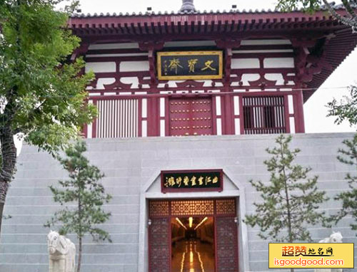 曲江书画艺术馆