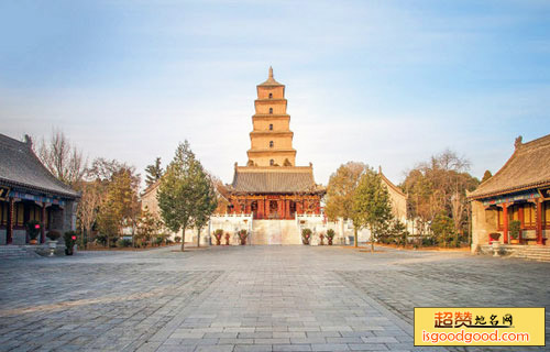 唐大慈恩寺遗址公园