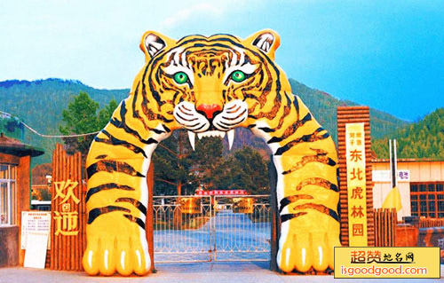 东北虎林园