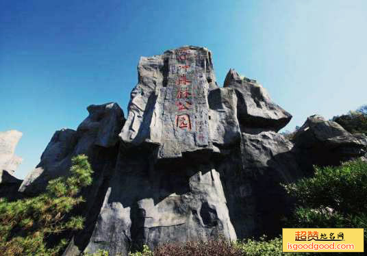 大山冲森林公园