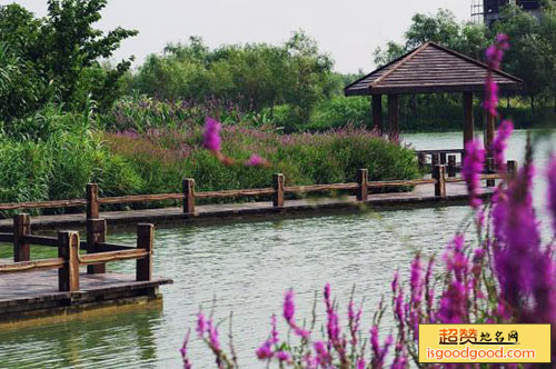 艾溪湖森林湿地公园