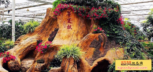 宁夏园艺产业园