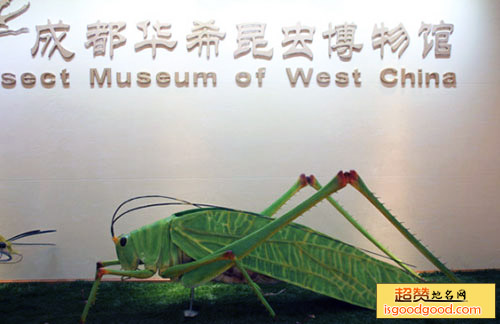 华希昆虫博物馆