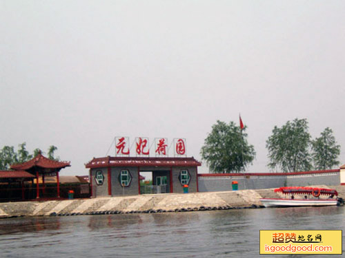 白洋淀元妃荷园