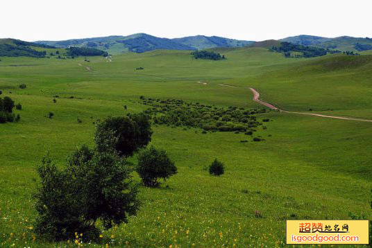 克什克腾大草原