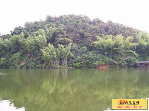 天鹿湖森林公园