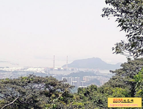 黄山鲁森林公园