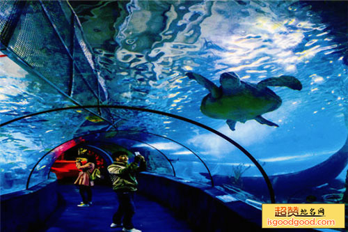 武汉东湖海洋世界