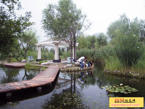 郑东新区湿地公园