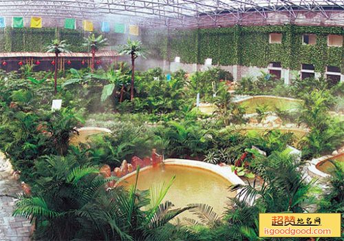 黄河富景生态园