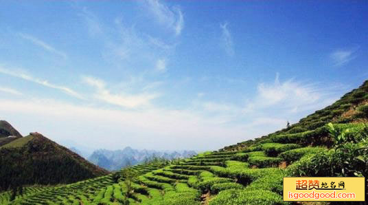 茶山旅游区