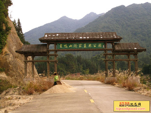 贡鸭山森林生态旅游区