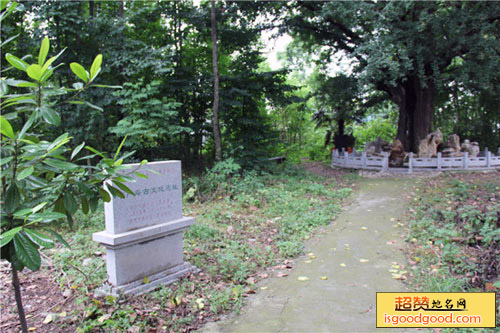 华严庵古文化遗址