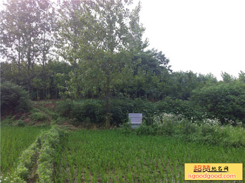 官桥城子古文化遗址