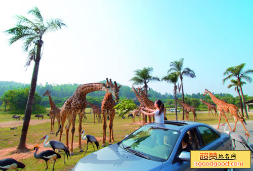 广州长隆野生动物世界