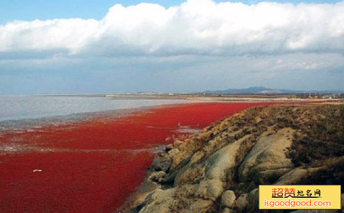 红海旅游区
